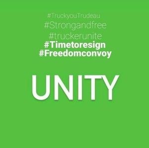 Meet your Posher, Tanoodles